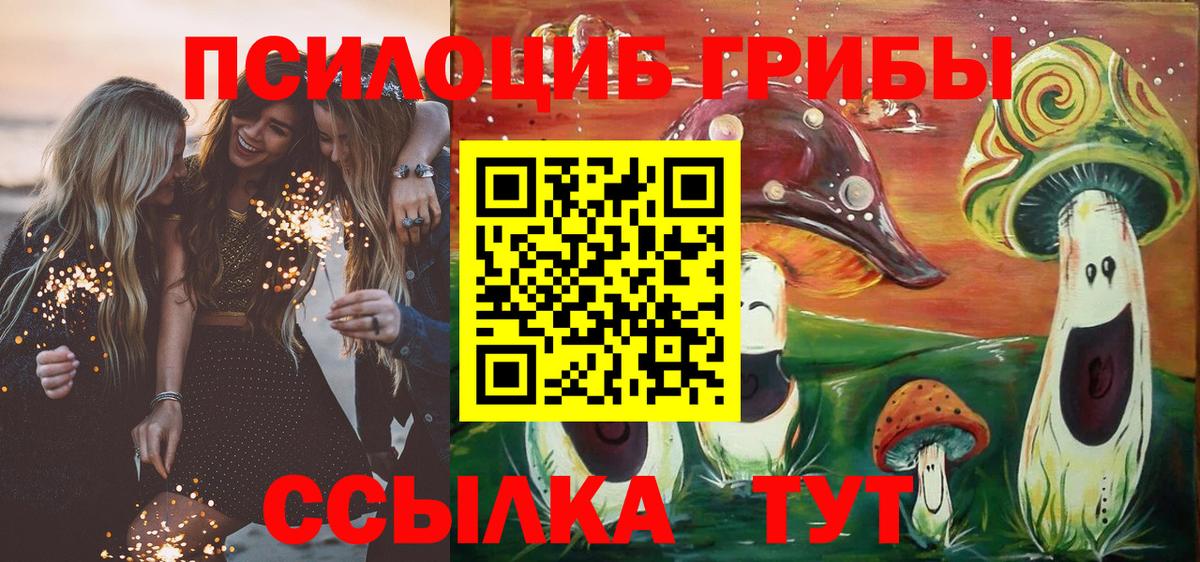 Шелехов  Псилоцибиновые грибы Cubensis  Вход с VPN  Псилоцибиновые грибы мицелий 
